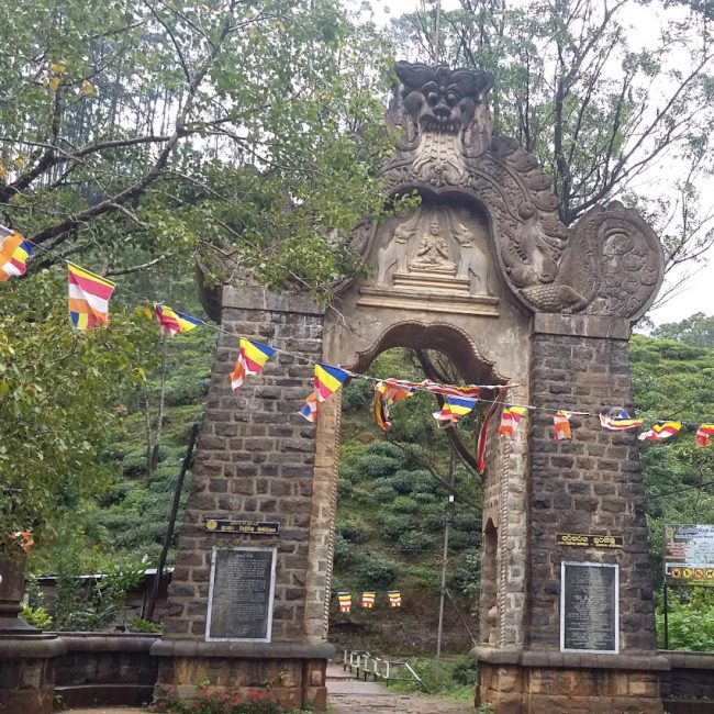 adam's peak