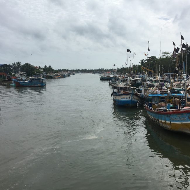 A voir Sri Lanka - marché aux poissons - Negombo
