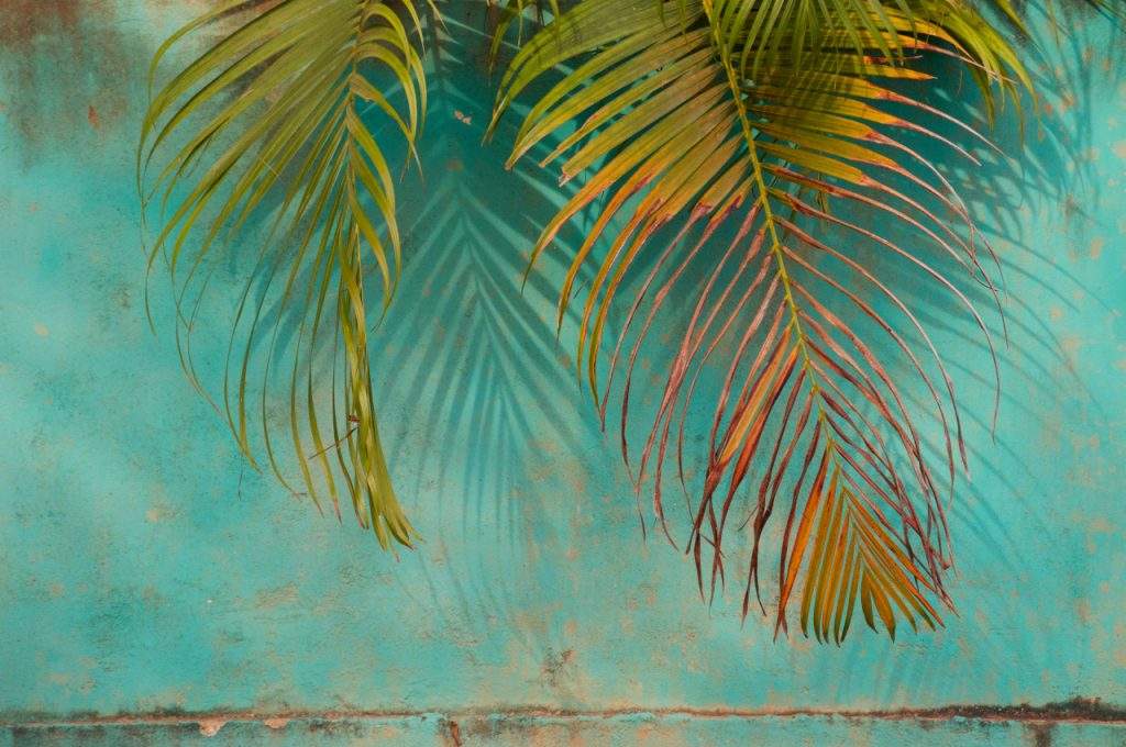 CLIMAT ET SAISONS : QUAND PARTIR AU SRI LANKA ?