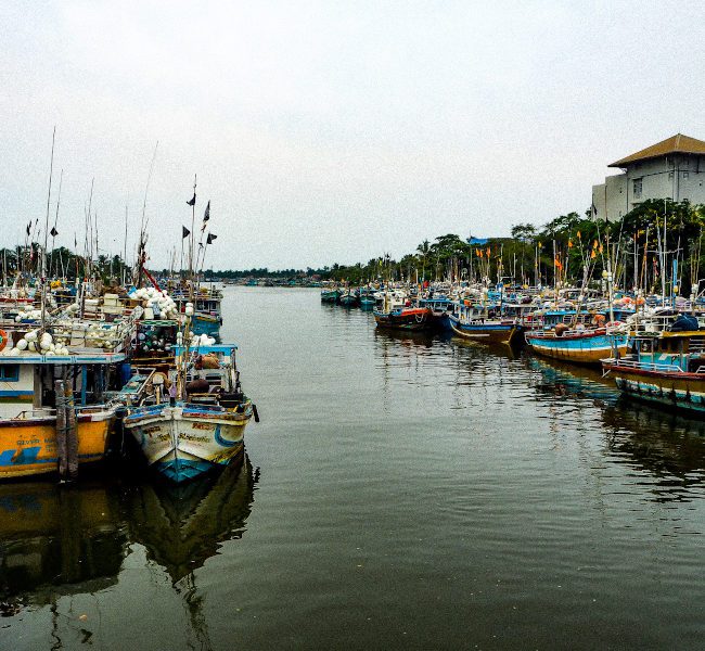 Découverte de Negombo