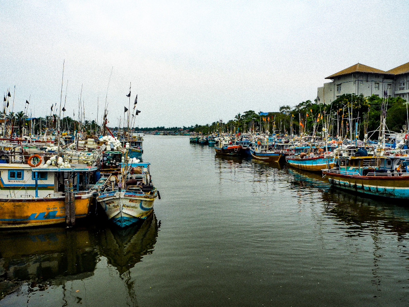 Découverte de Negombo