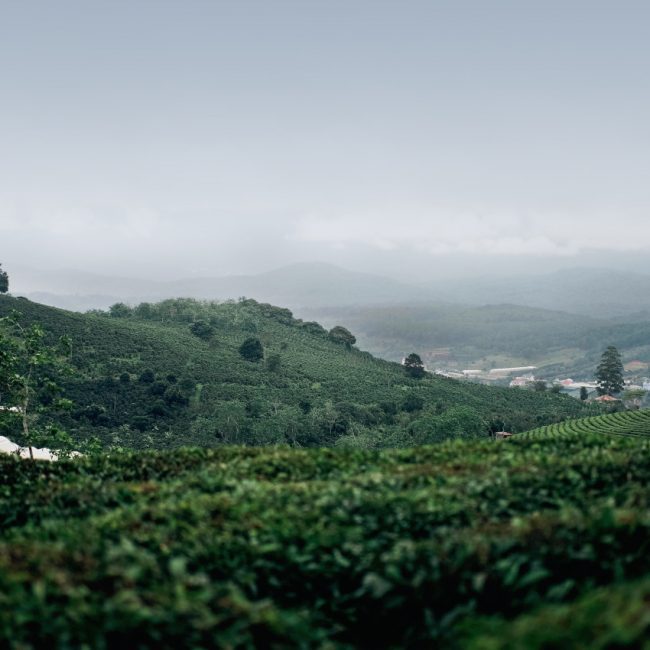 Dalat au Vietnam
