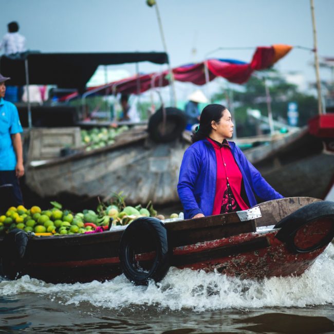 Delta du Mekong vietnam