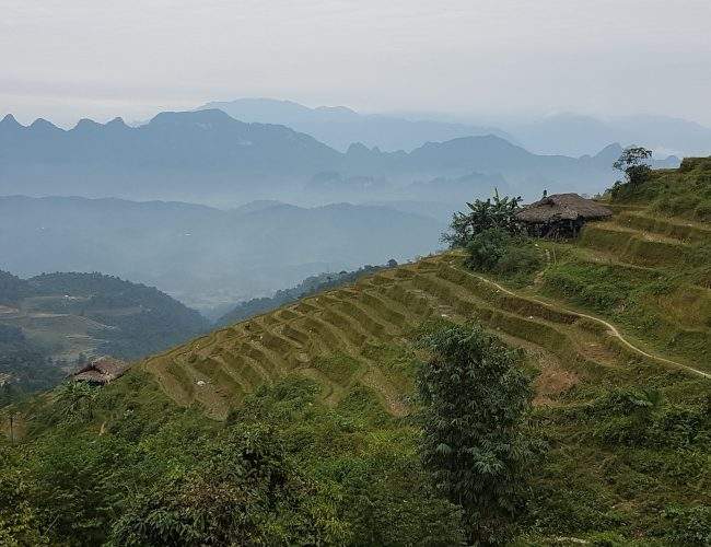 ha giang vietnam randonnée dans les rizières