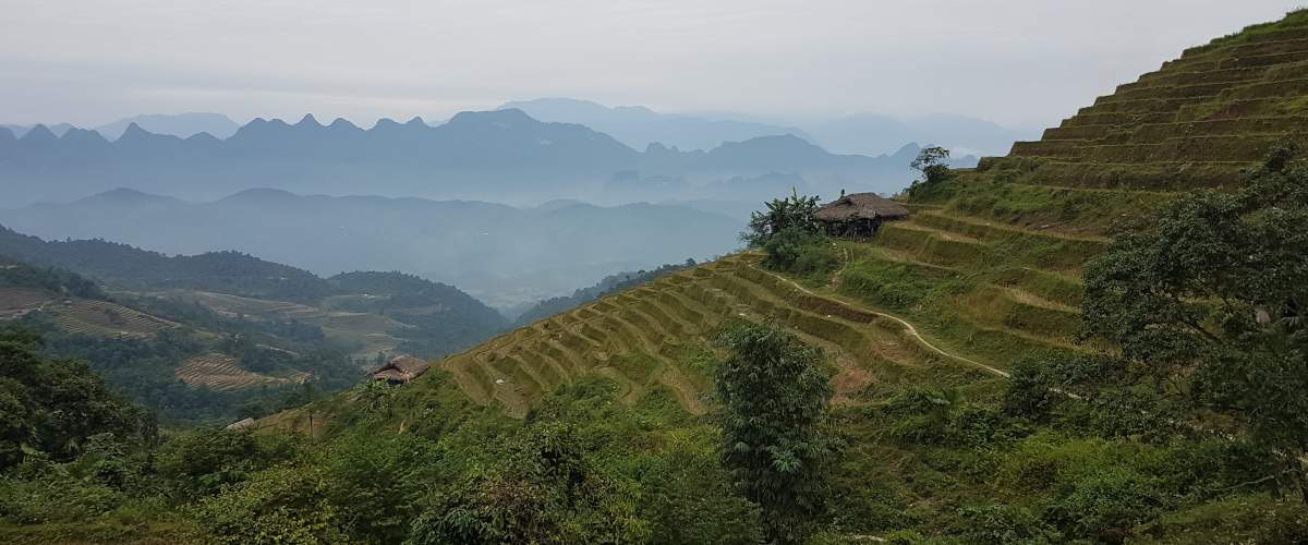 ha giang vietnam randonnée dans les rizières