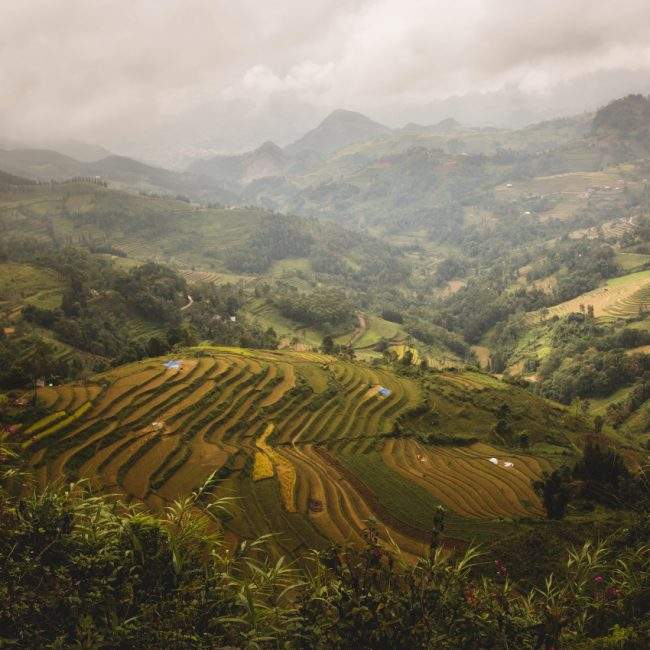 Sapa au vietnam