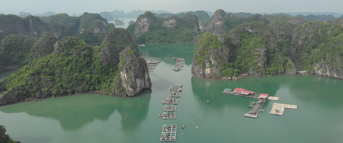 Survol de la baie d'Halong (1)