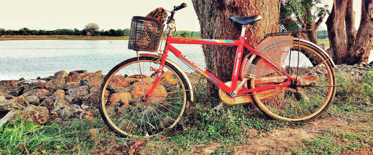 Découverte à vélo des ruines du site d'anuradhapura au Sri Lanka
