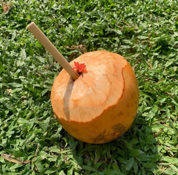 coco sri lanka