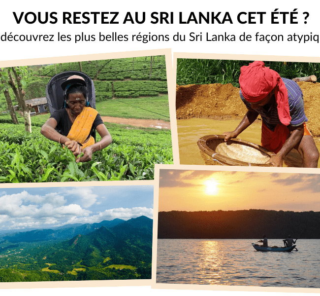 Escapades au Sri Lanka