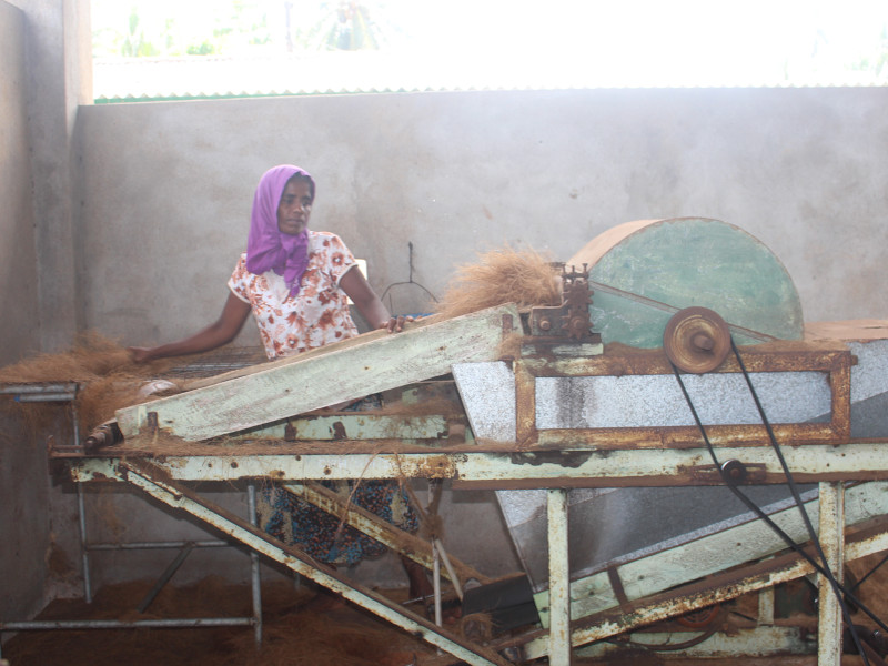 Volontariat dans une ferme