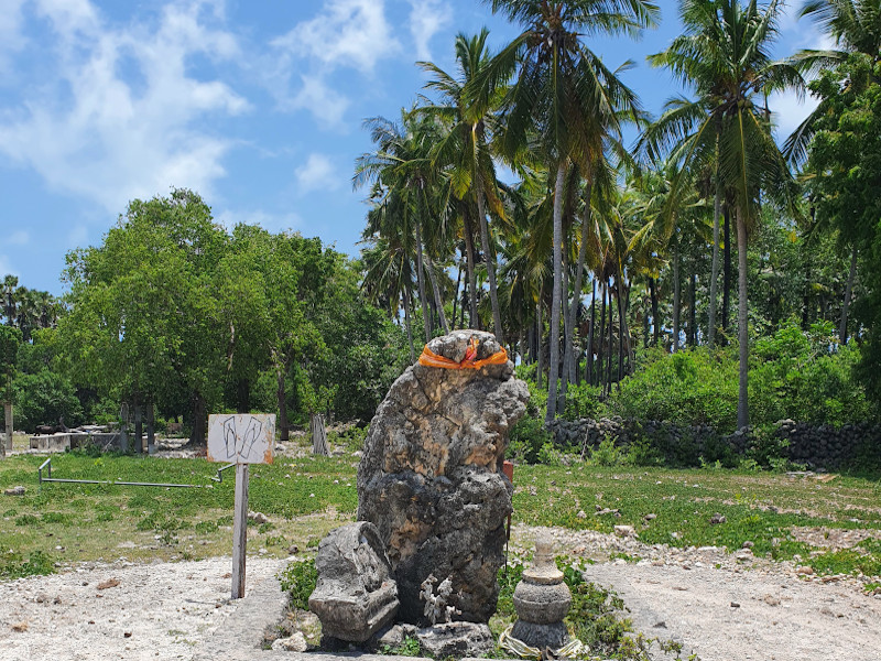 growing stone pierre qui pousse - Delft island
