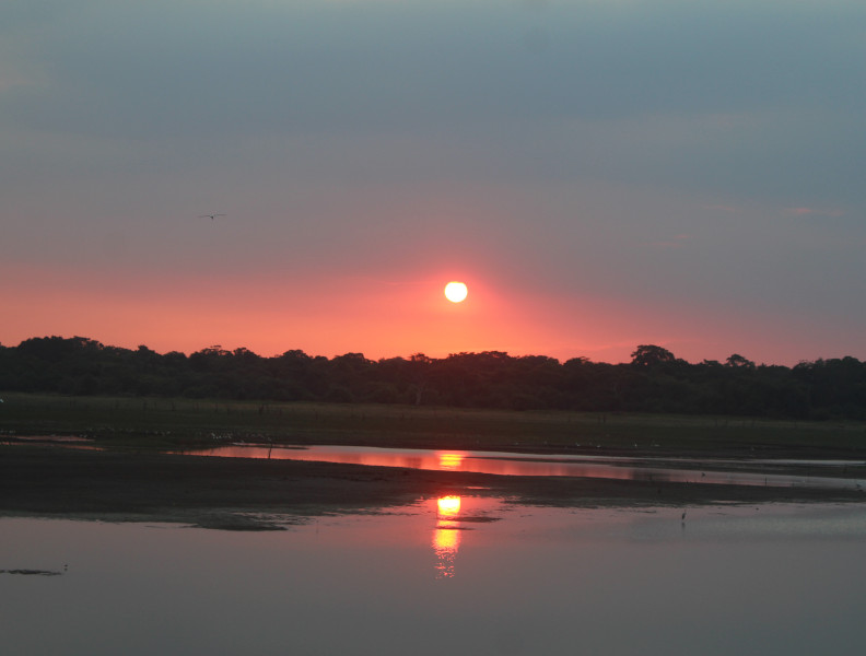 COUCHER DE SOLEIL NILAVELI Coucher de soleil sur le réservoir