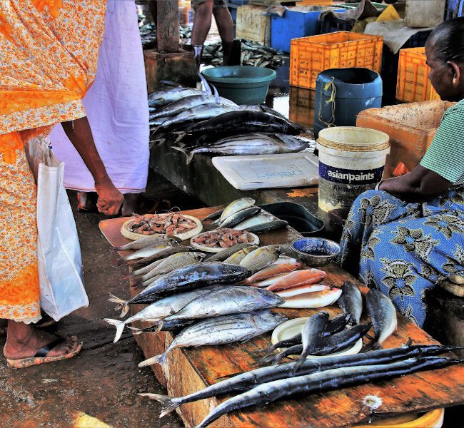 marché sri lanka -cutlets
