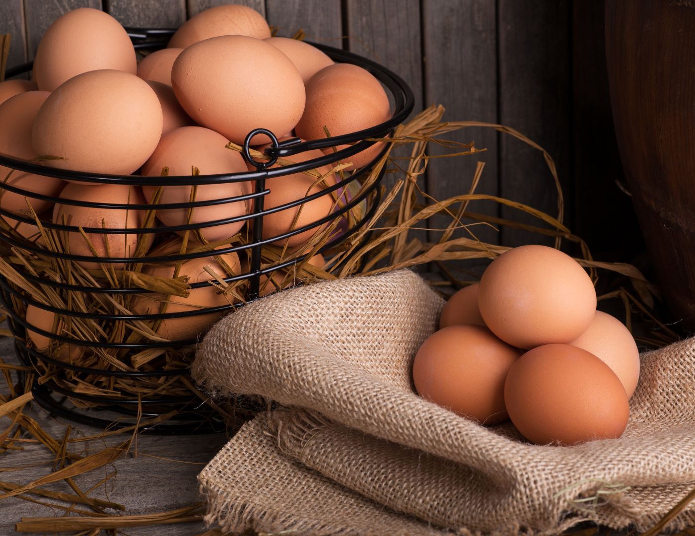 Oeufs oeufs - Egg Hoppers